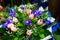 Flowers bouquet tulips, irises background, wallpaper