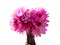 Flowers Bouquet for Valentines Day on isolated white background.