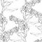 Flowers and branches Matthiola incana. Seamless pattern. Line painting medicinal, perfumery and cosmetic plants.