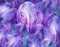 Flowers bright purple rises. Floral vintage background. Petals irises.   Close-up.