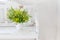 flowers in bucket on white wooden bench indoor