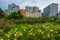 Flowers and buildings along the Hudson River Greenway in Tribeca, Manhattan, New York City