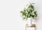 Flowers bunch with blossom of acacia branches in vase at white wall. Simple Interior design and ideas