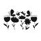 Flowers and butterflies, black silhouette for your design