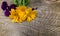 Flowers of calendula and violets with a stem on a wooden board with cracks