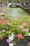 Flowers on Canal Bridge, Delft