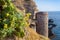 Flowers and castle on capraia island