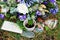 Flowers in cemetery, decoration