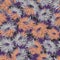 Flowers Chrysanthemum on dark violet seamless background.