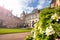 Flowers and Cite Universitaire University in Paris