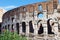 Flowers and the Colosseum in Rome