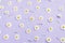 Flowers composition. Pattern made of chamomiles, petals, leaves on pastel purple background. Spring, summer concept.