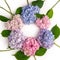 Flowers composition. Round frame made of hydrangea flowers on a white background.Wreath made of colorful