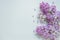 Flowers composition. Tender background. Beautiful fresh lilac flowers on gray background