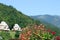 Flowers and cottages mountain landscape