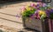 Flowers in a crate