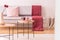 Flowers and cups on wooden tables in living room interior with red blanket on couch. Real photo