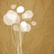 Flowers dandelions on a crumpled paper brown background.