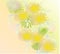 Flowers, dandelions, pale, beautiful, beautiful background for cards and business cards