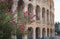 Flowers at dawn in front of the Colosseum, Rome