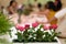 Flowers decorate on the dinning long table in the luxury relax event with the blur social people behind