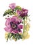 flowers decorative poppy violet tone