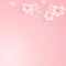 Flowers design. Vector abstract illustration. Cherry blossom on pink Bokeh Background. EPS 10, cmyk