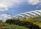 Flowers Dome with Singapore Flyer