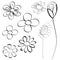 Flowers doodle set vector