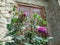 Flowers and door of the church, Leymebamba, Chachapoyas, Amazonas, Peru, South America