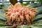 Flowers of drooping cycad close up