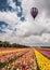 Flowers on the field planted by color stripes