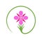 Flowers of fireweed. Rosebay willowherb. Chamaenerion angustifolium logo. Isolated fireweed on white background