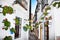 Flowers flowerpot on the walls on streets of Cordoba. Spain