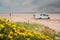 Flowers in focus. Motor home on a sandy beach out of focus