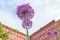 Flowers on foreground and BICOCCA UNIVERSITY - MILAN - modern buildings - Milan - Lombardy - ITALY