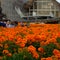 Flowers in front of China pavillion