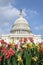 Flowers in front of the U.S. Capitol Dome in Washington, D.C., USA