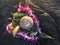 Flowers and fruit offering to God on lava plane in Hawaii