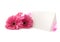 Flowers Gerbera, ribbon and a blank white card, isolated