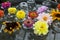 Flowers in Glass Bowls Floating in Water