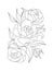 Flowers graphic. Three blooming peonies with a bud and leaves. Vector coloring book pages. Hand drawn illustration. Monochrome flo