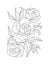 Flowers graphic. Three blooming peonies with a bud and leaves. Vector coloring book pages. Hand drawn illustration. Monochrome flo
