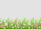 Flowers and grass border, pink meadow flowers and green grass on a transparent background, vector illustration, greeting