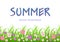 Flowers and grass border, summer illustration, greeting card, cover, poster, banner with pink meadow flowers and green