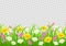 Flowers and grass border, yellow and white chamomile and delicate pink meadow flowers and green grass on transparent