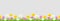 Flowers and grass border, yellow and white chamomile and delicate pink meadow flowers and green grass on transparent background, v