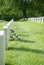 Flowers at gravesite