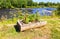 Flowers grow in a wooden flowerpot on the river bank