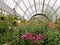 Flowers growing in glass hothouse of garden center